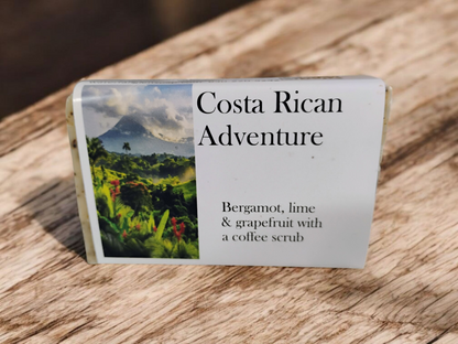 Costa Rican Adventure
