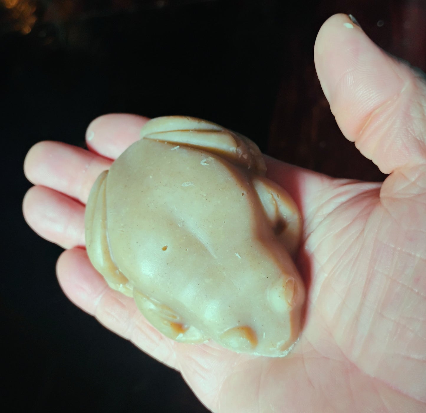 Nathan, the honeysuckle Frog