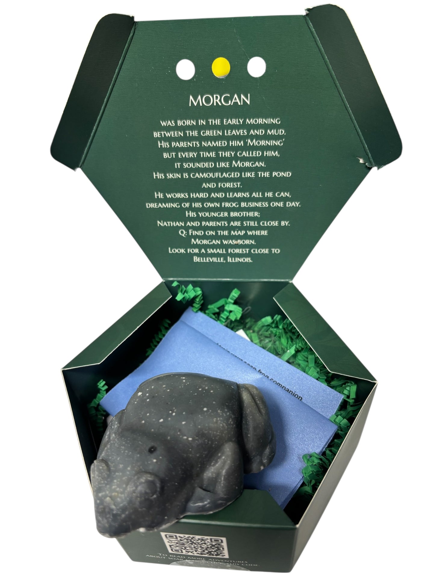 Morgan the Frog