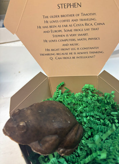 Stephen the citrus scrub Soap Frog